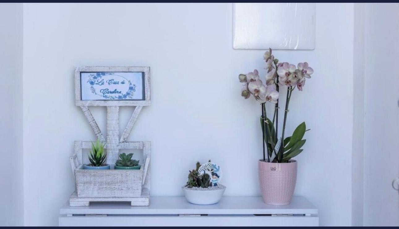 Appartamento La Casa Di Carolina Maratea Esterno foto